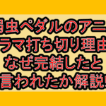 弱虫ペダルのアニメ･ドラマ打ち切り理由?なぜ完結したと言われたか解説!