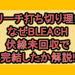 ブリーチ打ち切り理由?なぜBLEACH伏線未回収で完結したか解説!