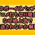 カウボーイビバップのアニメ打ち切り理由!なぜ地上波で放送されないか解説!