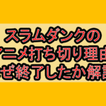 スラムダンクのアニメ打ち切り理由!なぜ終了したか徹底解説!