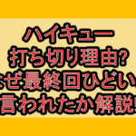 ハイキュー打ち切り理由?なぜ最終回ひどいと言われたか解説!