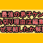 史上最強の弟子ケンイチ打ち切り理由は編集長!なぜ完結したか解説!