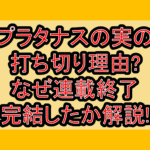 プラタナスの実の打ち切り理由?なぜ連載終了･完結したか解説!
