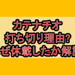カテナチオ打ち切り理由?なぜ休載したか徹底解説!