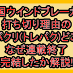 韓国ウインドブレーカー打ち切り理由のパクリ(トレパク)どこ!なぜ連載終了･完結したか解説!