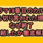 ドラマ19番目のカルテ打ち切り言われた理由?なぜ終了･完結したか徹底解説!