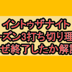 イントゥザナイトシーズン3打ち切り理由?なぜ終了したか徹底解説!