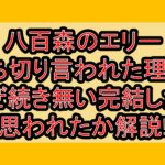 八百森のエリー打ち切り言われた理由?なぜ続き無い･完結したと思われたか解説!