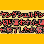 ヤングシェルドン打ち切り言われた理由?なぜ終了したか徹底解説!
