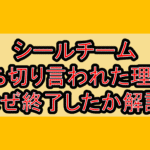シールチーム打ち切り言われた理由?なぜ終了したか徹底解説!