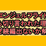 エンジェルフライト打ち切り言われた理由?なぜ続編出ないか徹底解説!