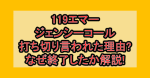119エマージェンシーコール打ち切り言われた理由?なぜ終了したか徹底解説!