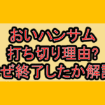 おいハンサム打ち切り理由?なぜ終了したか徹底解説!