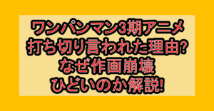 ワンパンマン3期アニメ打ち切り言われた理由?なぜ作画崩壊ひどいのか解説!