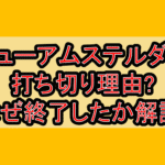 ニューアムステルダム打ち切り理由?なぜ終了したか徹底解説!