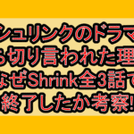 シュリンクのドラマ打ち切り言われた理由?なぜShrink全3話で終了したか考察!
