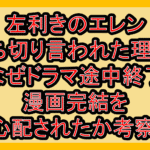 左利きのエレン打ち切り言われた理由?なぜドラマ途中終了･漫画完結を心配されたか考察!