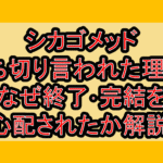 シカゴメッド打ち切り言われた理由?なぜ終了･完結を心配されたか解説!