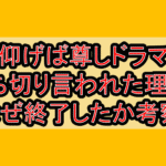 仰げば尊しドラマ打ち切り言われた理由?なぜ終了したか考察!