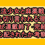 魔法少女と麻薬戦争が打ち切り言われる理由?なぜ連載終了･完結を心配されたか考察!