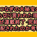 7つなぎの大秘宝の打ち切り言われた理由!なぜ連載終了･完結を心配されたのか考察!