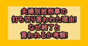 夫婦別姓刑事の打ち切り言われた理由!なぜ終了と言われるか考察!