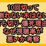 10回切って倒れない木はない打ち切り･爆死理由?なぜ視聴率が悪いか考察