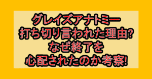 グレイズアナトミー打ち切り言われた理由?なぜ終了を心配されたのか考察!