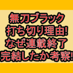 無刀ブラック打ち切り理由!なぜ連載終了･完結したか考察!
