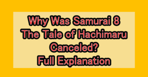 Why Was Samurai 8: The Tale of Hachimaru Canceled? Full Explanation