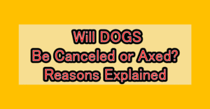Will DOGS (DOGS: Bullets & Carnage) Be Canceled or Axed? Reasons Explained