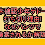 未確認少年ゲドー打ち切り理由!なぜパンツで検索されるか解説!