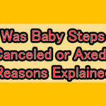 Was Baby Steps Canceled or Axed? Reasons Explained