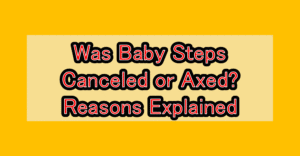 Was Baby Steps Canceled or Axed? Reasons Explained