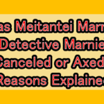 Was Meitantei Marnie (Detective Marnie) Canceled or Axed? Reasons Explained Why is the micro causing a stir?