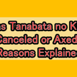 Was Tanabata no Kuni Canceled or Axed? Reasons Explained