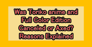 Was Toriko anime and Full Color Edition Canceled or Axed? Reasons Explained