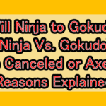 Will Ninja to Gokudo (Ninja Vs. Gokudo) Be Canceled or Axed? Reasons Explained