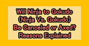 Will Ninja to Gokudo (Ninja Vs. Gokudo) Be Canceled or Axed? Reasons Explained