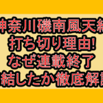 神奈川磯南風天組の打ち切り理由!なぜ連載終了･完結したか徹底解説!