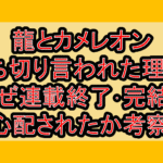 龍とカメレオン打ち切り言われた理由?なぜ連載終了･完結を心配されたか考察!