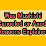 Was Mushishi Canceled or Axed? Reasons Explained