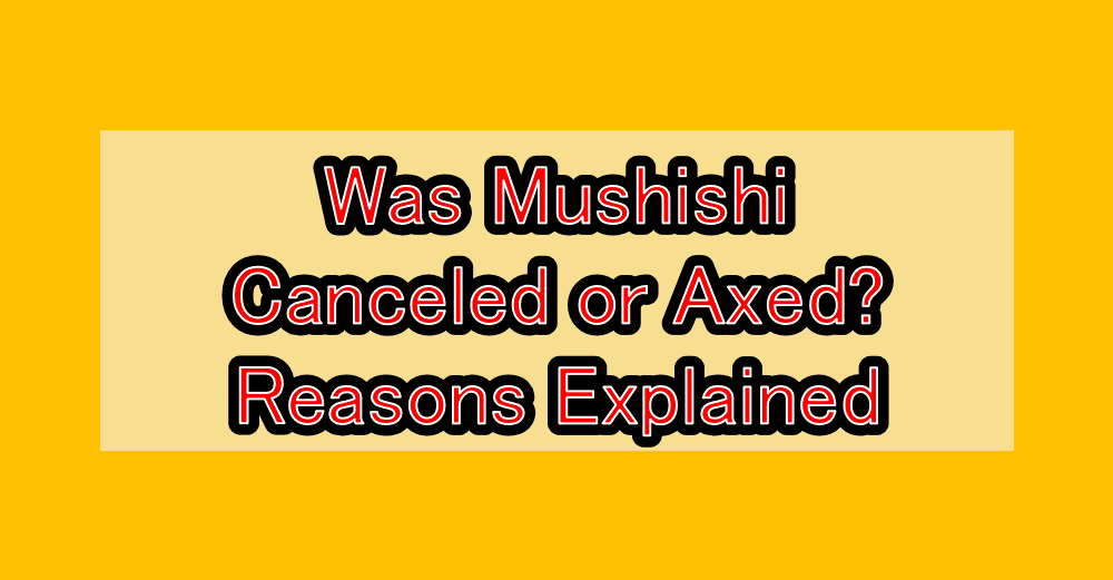 Was Mushishi Canceled or Axed? Reasons Explained
