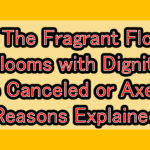 Will The Fragrant Flower Blooms with Dignity Be Canceled or Axed? Reasons Explained