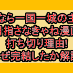男なら一国一城の主を目指さなきゃね漫画打ち切り理由!なぜ完結したか徹底解説!