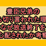 豊臣兄弟の打ち切り言われた理由?なぜ放送終了を心配されたか考察