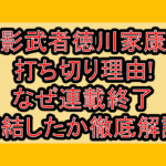 影武者徳川家康の打ち切り理由!なぜ連載終了･完結したか徹底解説!