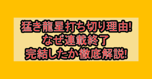 猛き龍星打ち切り理由!なぜ連載終了･完結したか徹底解説!