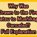 Why Was Drawn to the Fire(Natsu to Mushikago) Canceled? Full Explanation