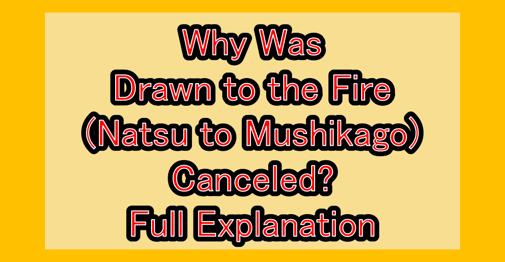 Why Was Drawn to the Fire(Natsu to Mushikago) Canceled? Full Explanation